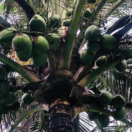 Villa Ava Kite - Guajiru Trairi Bagian luar foto