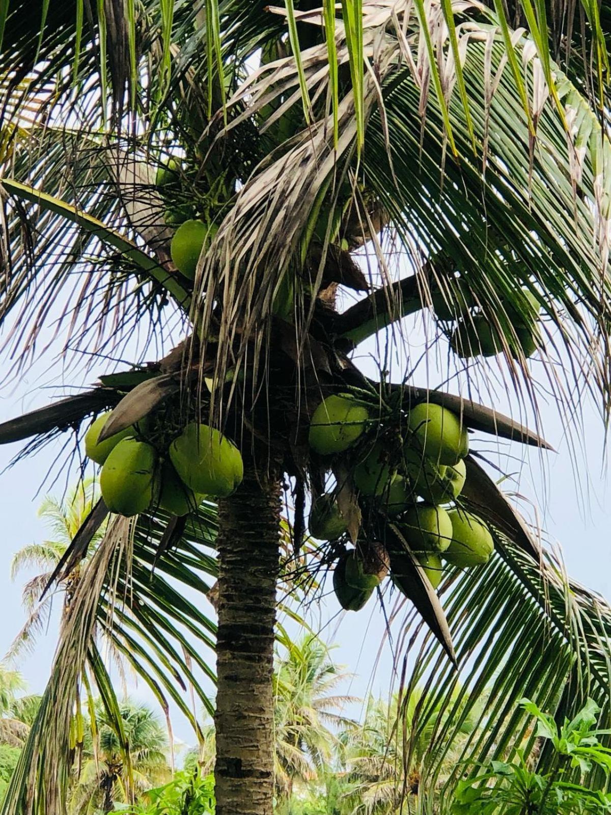 Villa Ava Kite - Guajiru Trairi Bagian luar foto