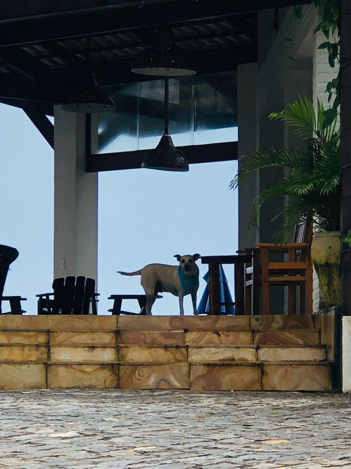 Villa Ava Kite - Guajiru Trairi Bagian luar foto